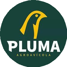 Pluma